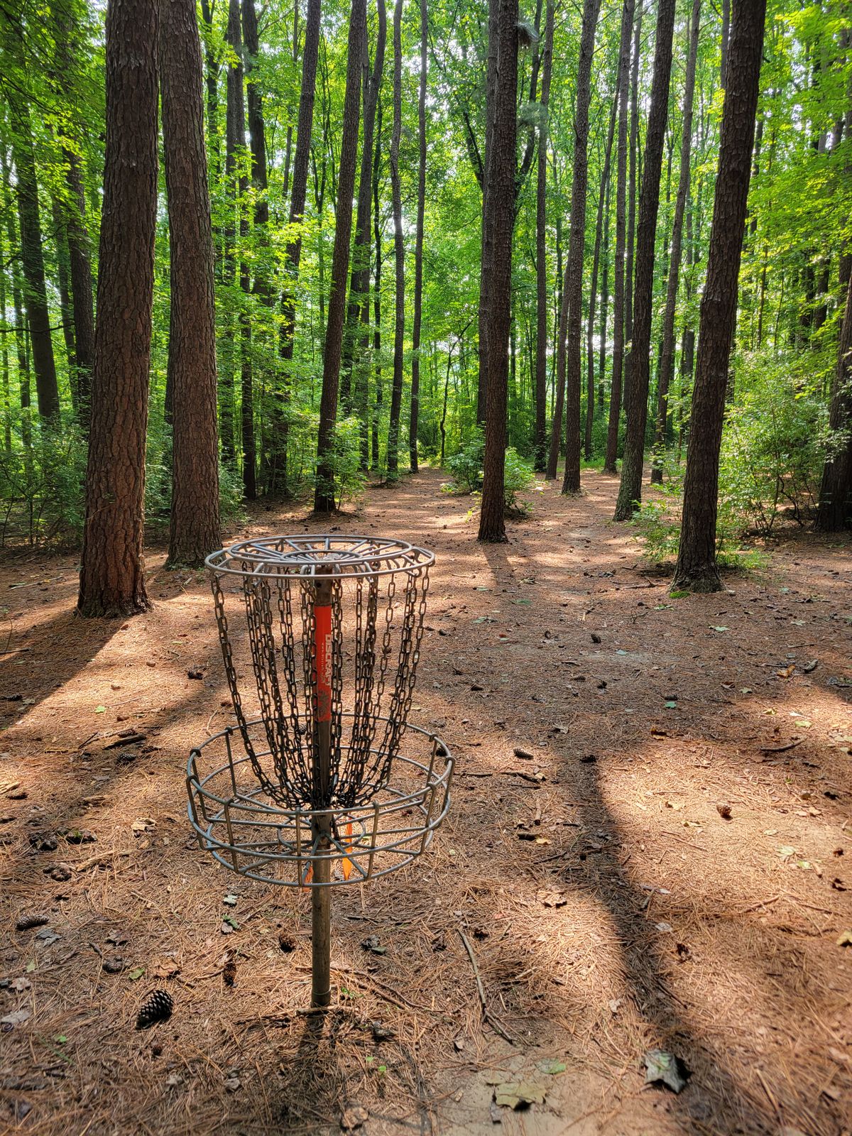 looking back down the fairway