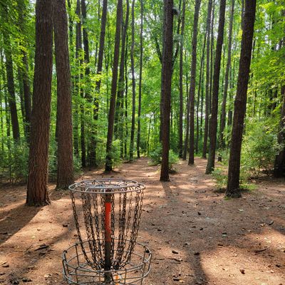 looking back down the fairway