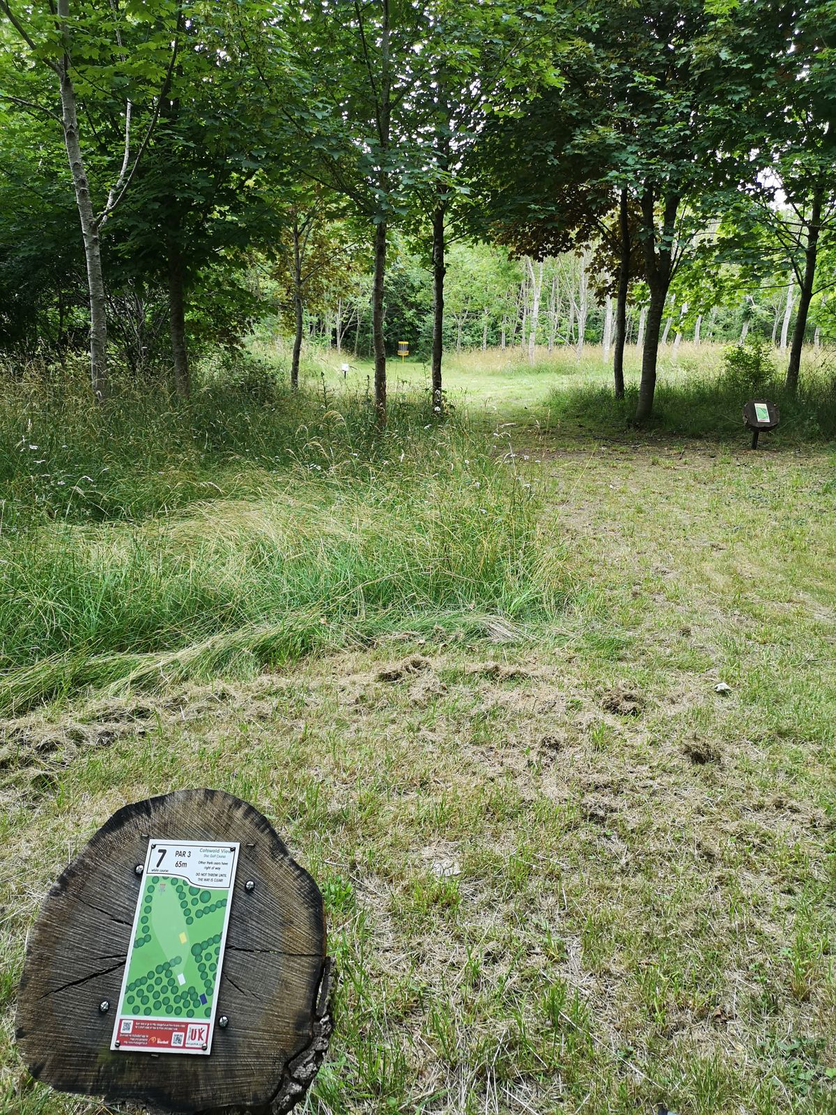 View from White Tee Hole 7