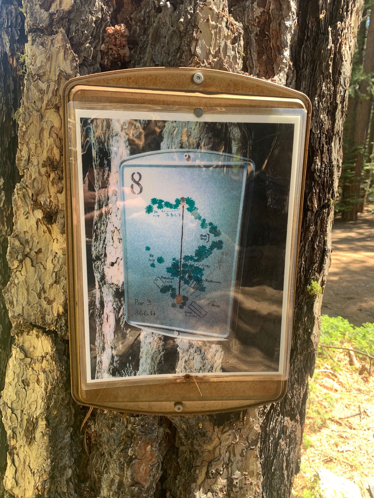 Hole 8 Map