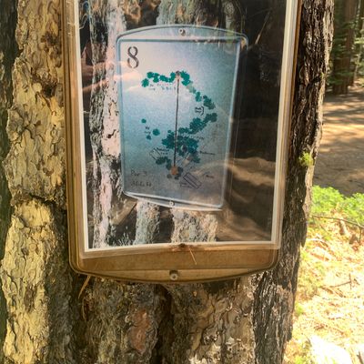 Hole 8 Map