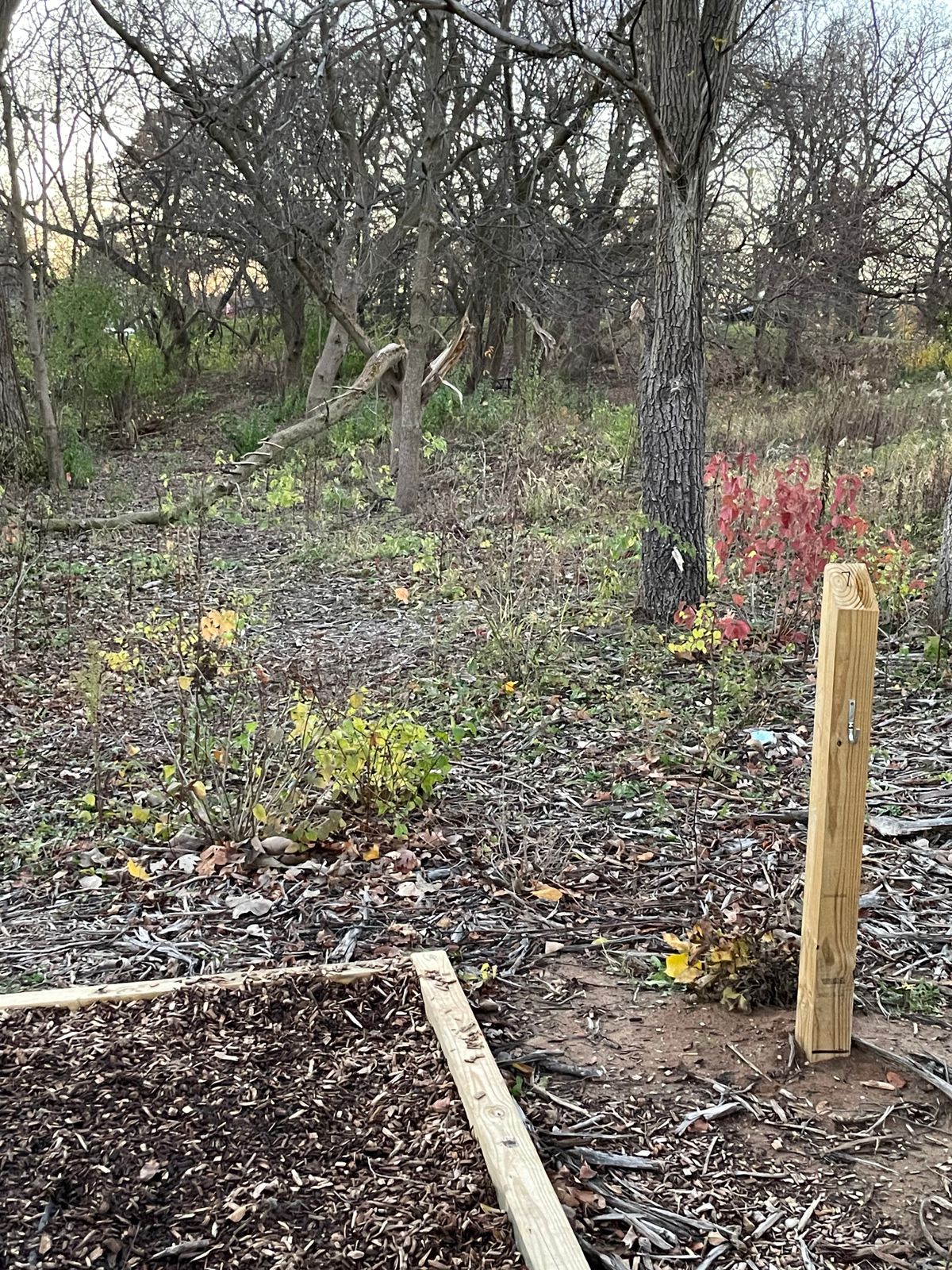 Hole 7– still waiting for PD clean up. Basket to the right through trees