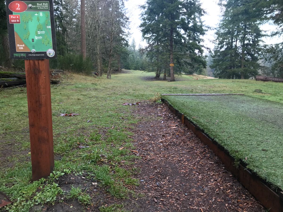 Hole 2 red pad