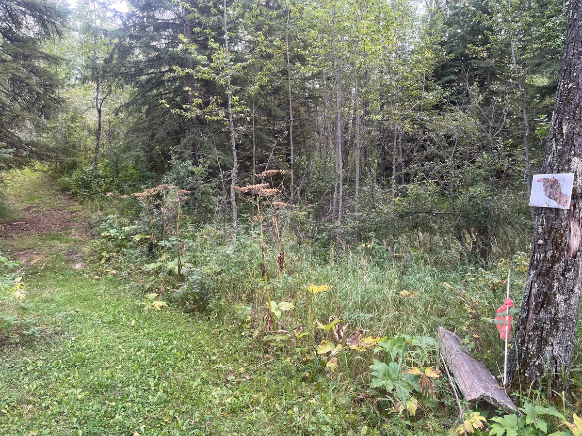 6th Tee