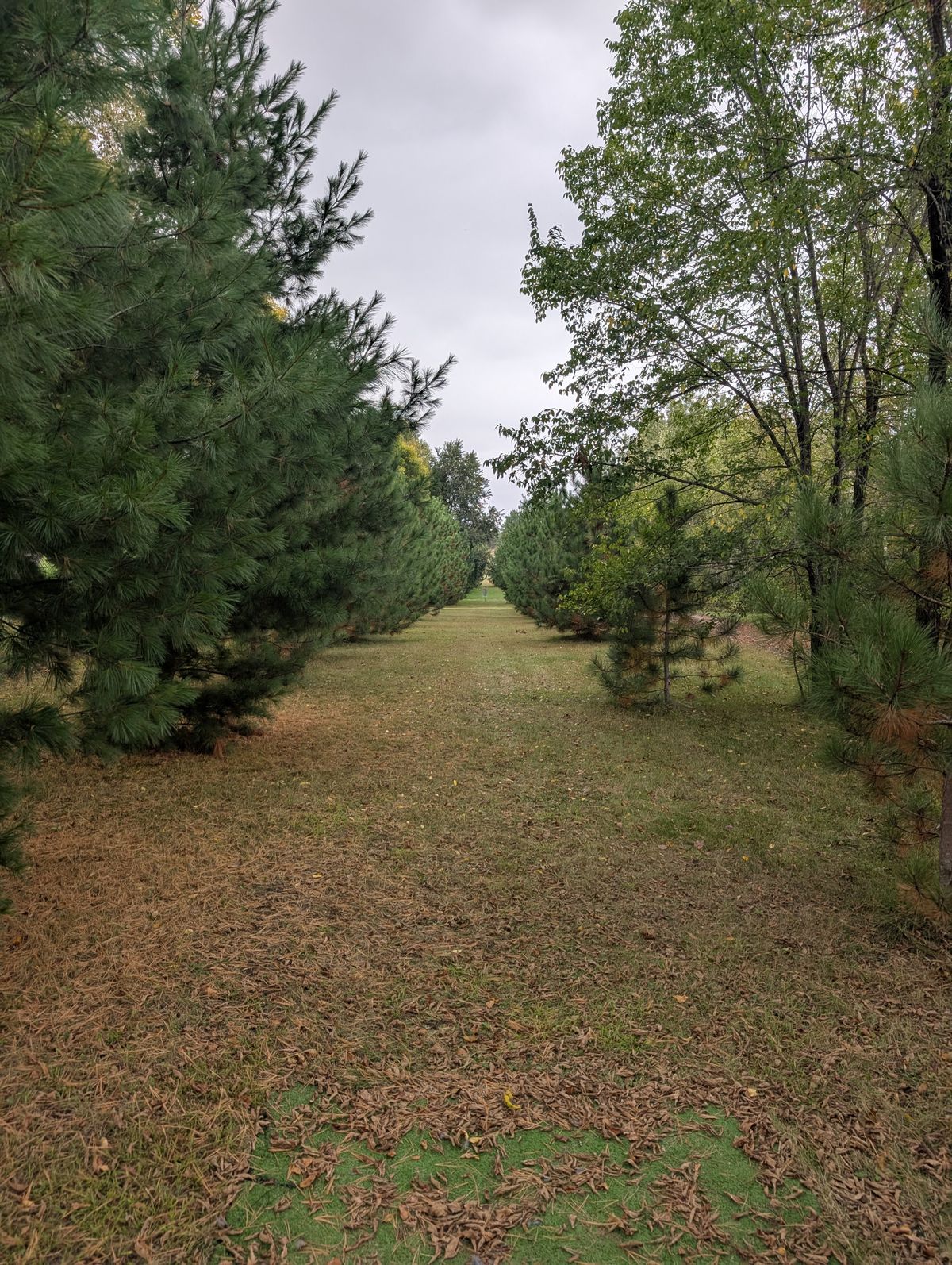 Hole 1