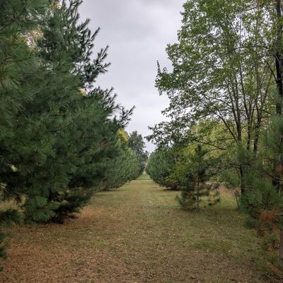 Hole 1