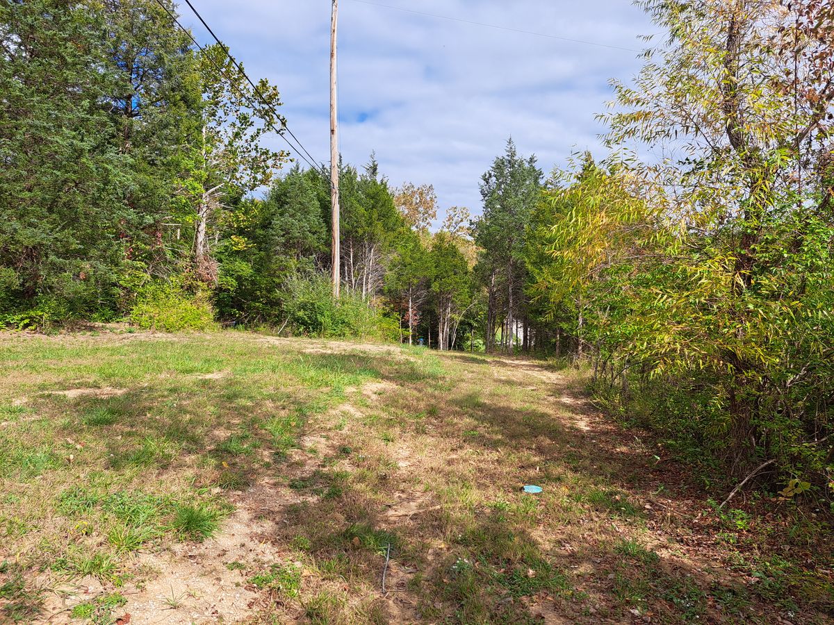Hole 11 mid fairway