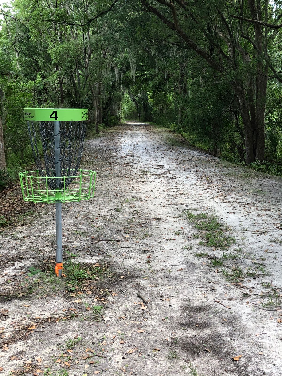 Hole 4 Reverse view