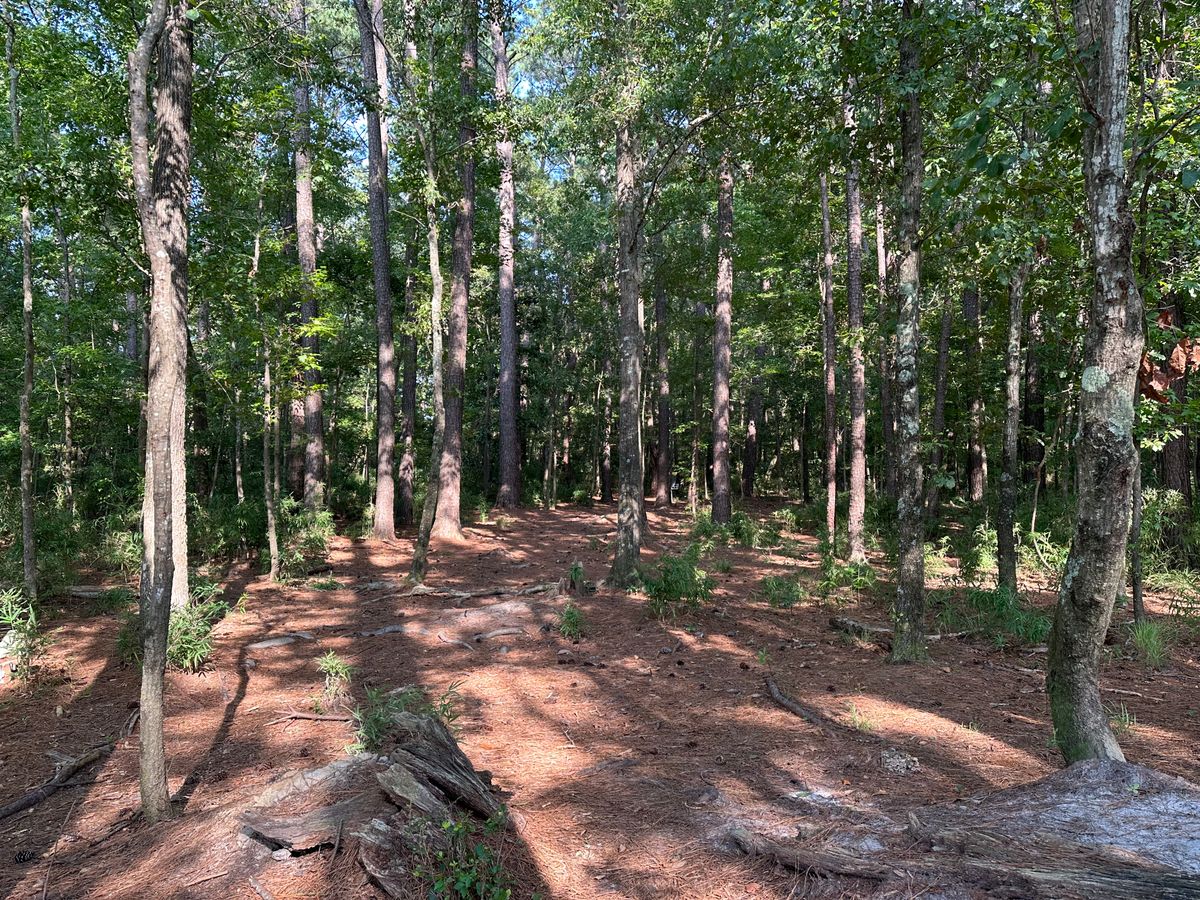 Hole 10 Approach