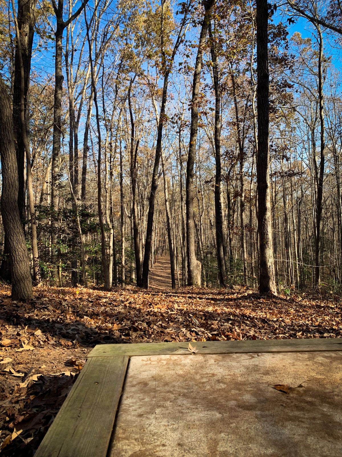 Hole 10, pro tee pad. Long and skinny!