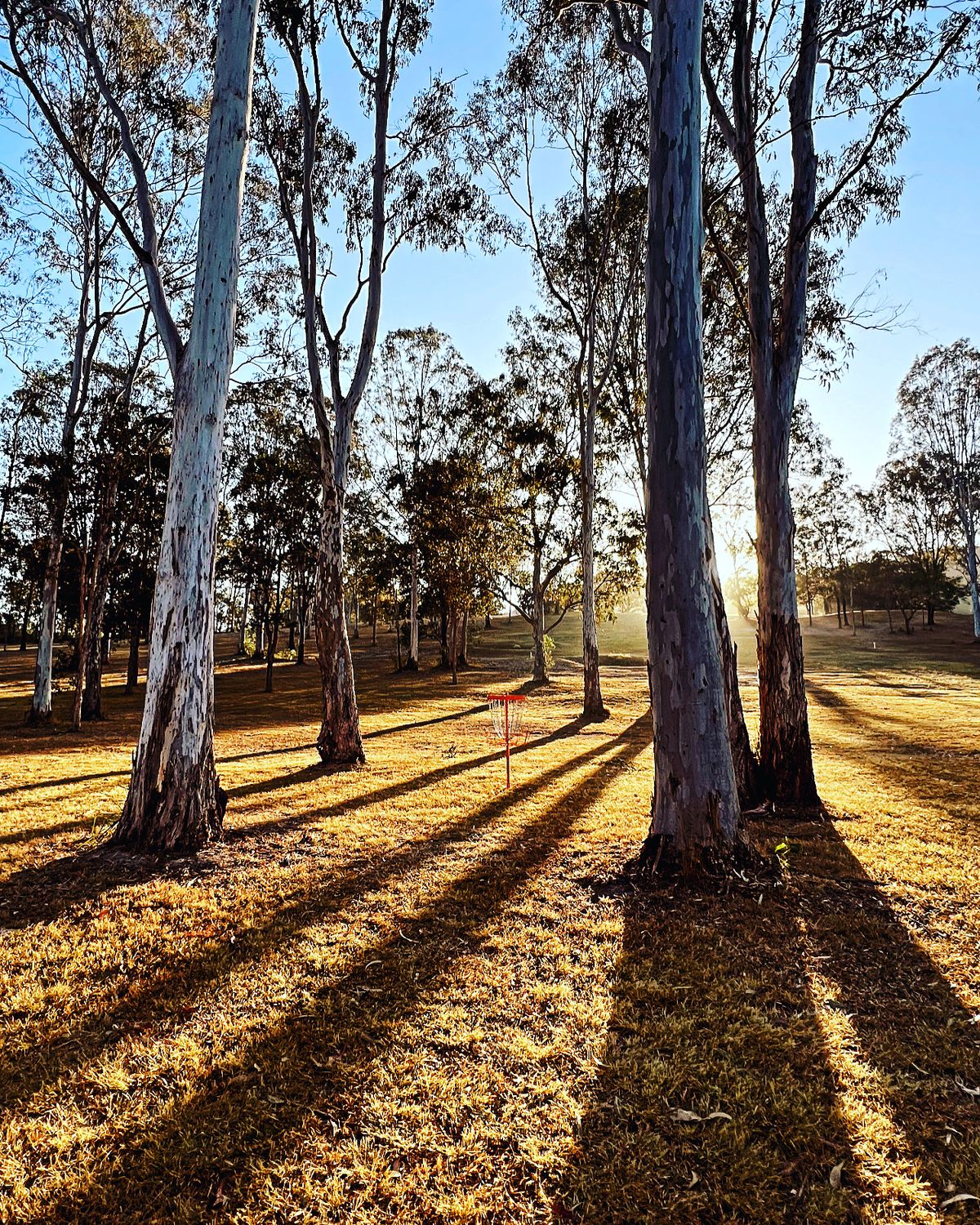 Hole 2 basket