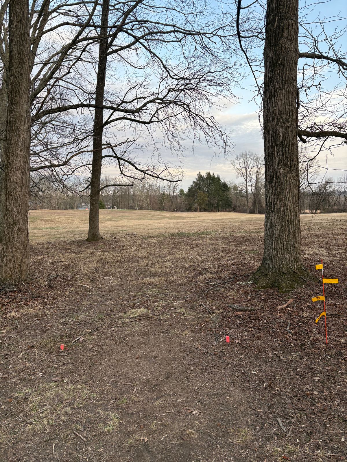 Hole 5 is a new tee pad that is a straight line walk from 4s basket. Follow the arrow on 4s basket.