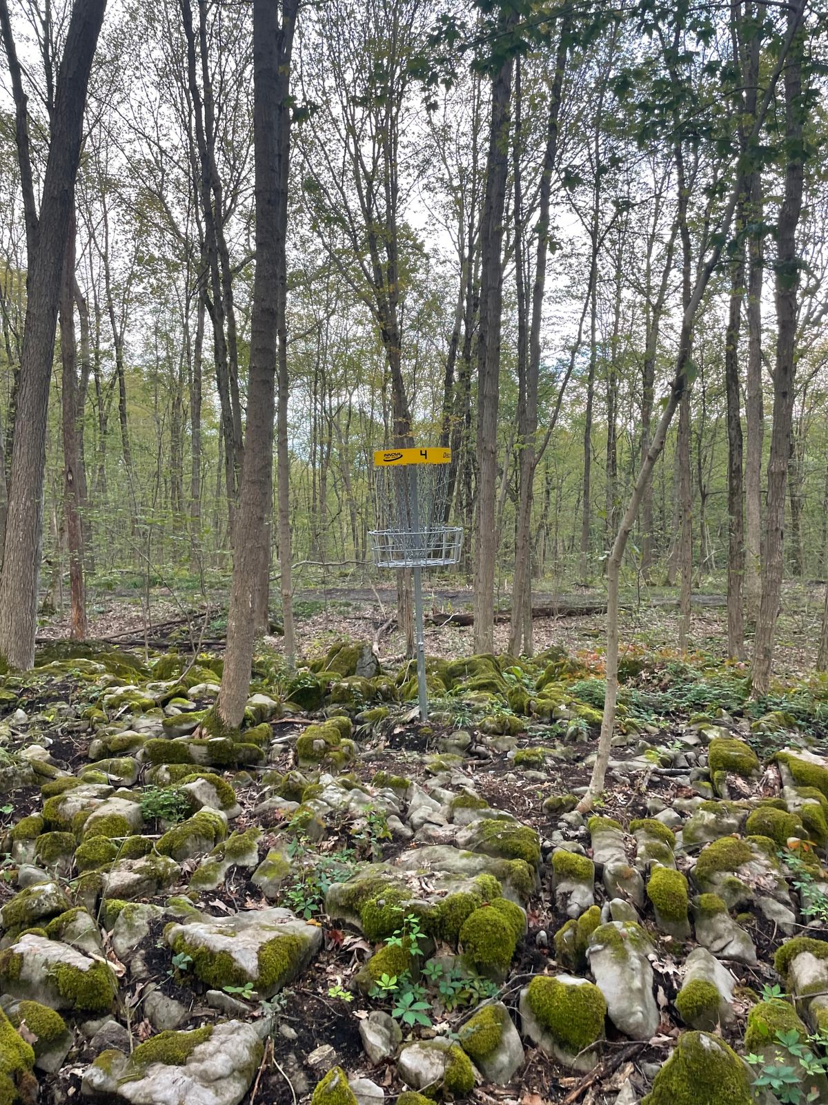 Hole 4 Basket