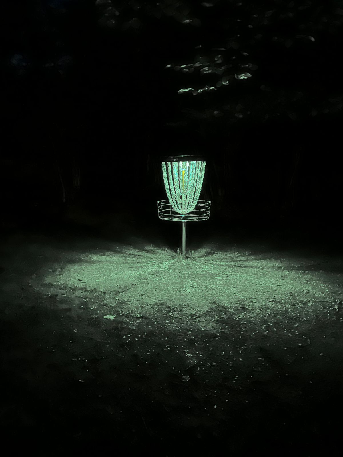 Hole 8 glow basket