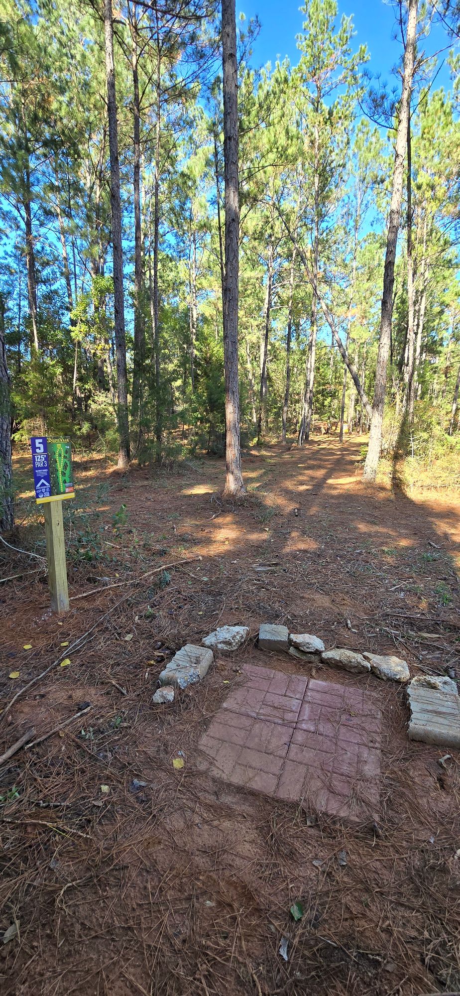 Hole 5