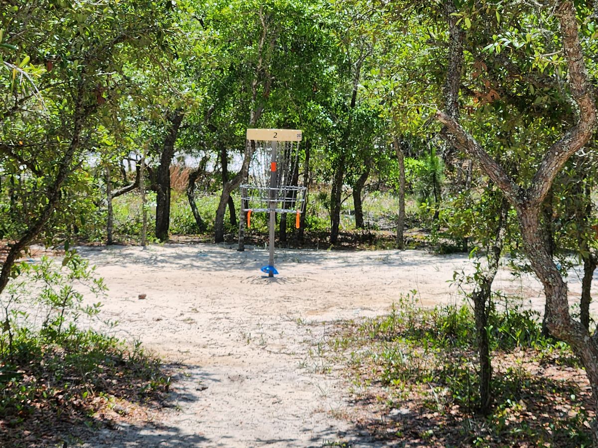 Hole 2 basket in alternate position