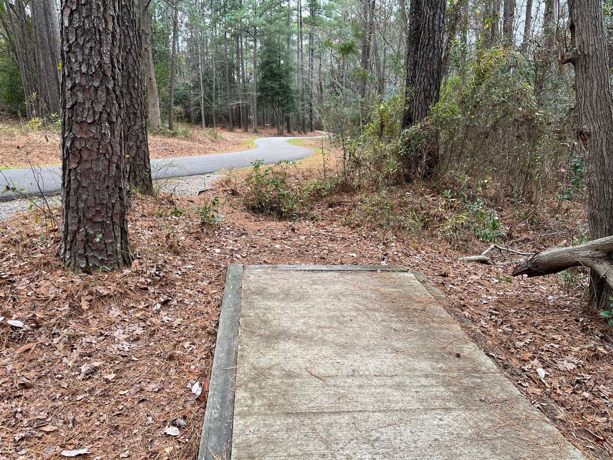 Hole 1 tee