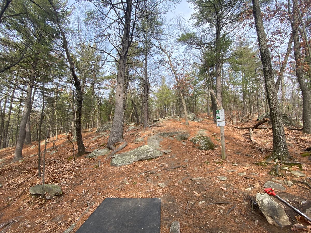 Hole 2 The Hill 1/14/2020