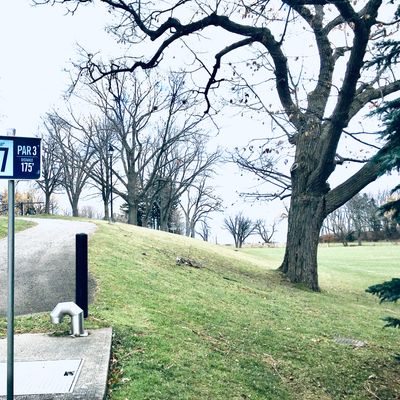 Tee pad #17. 🌳🇨🇦👍🌳👍🇨🇦