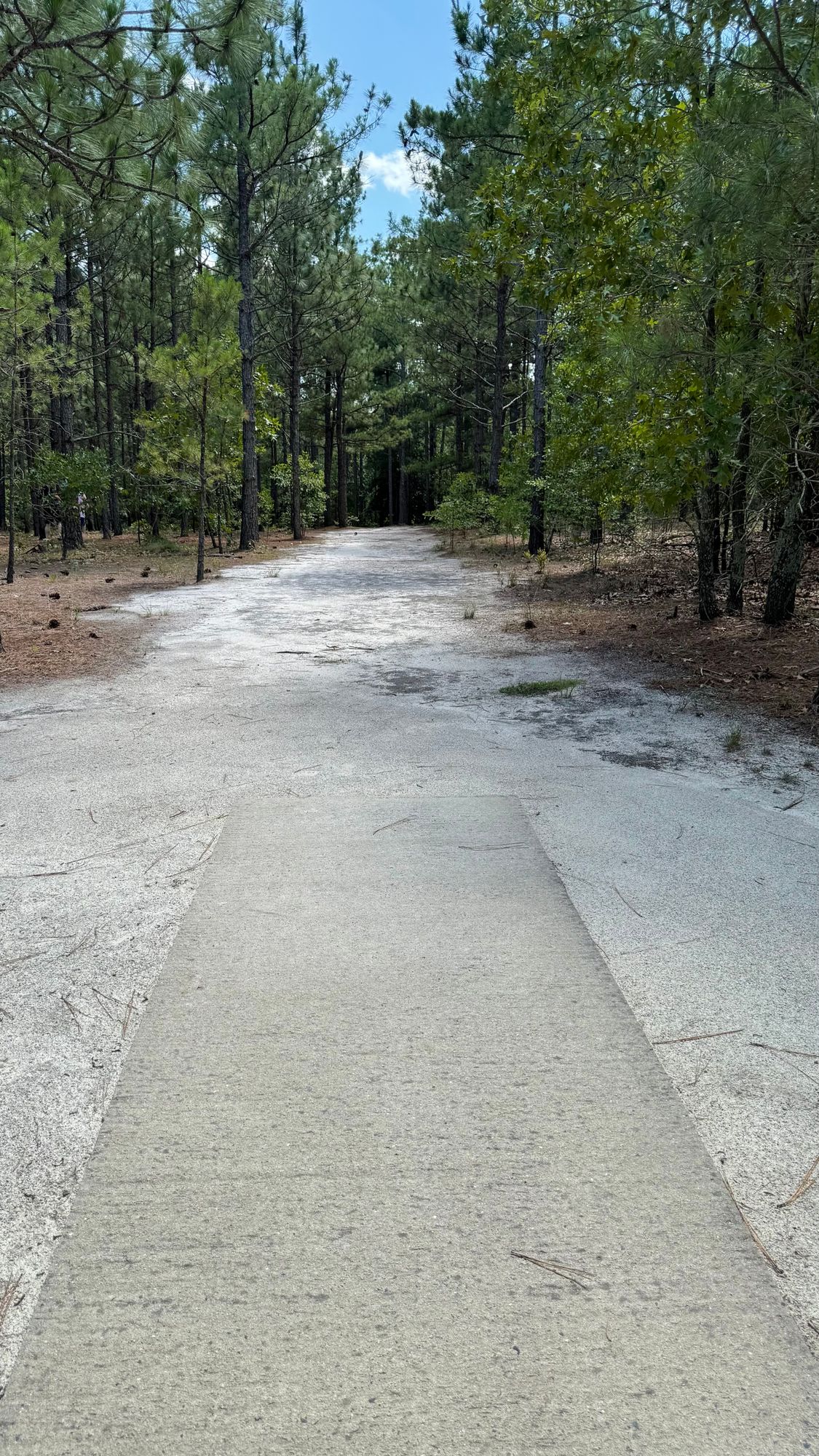 Hole 3 Tee Pad