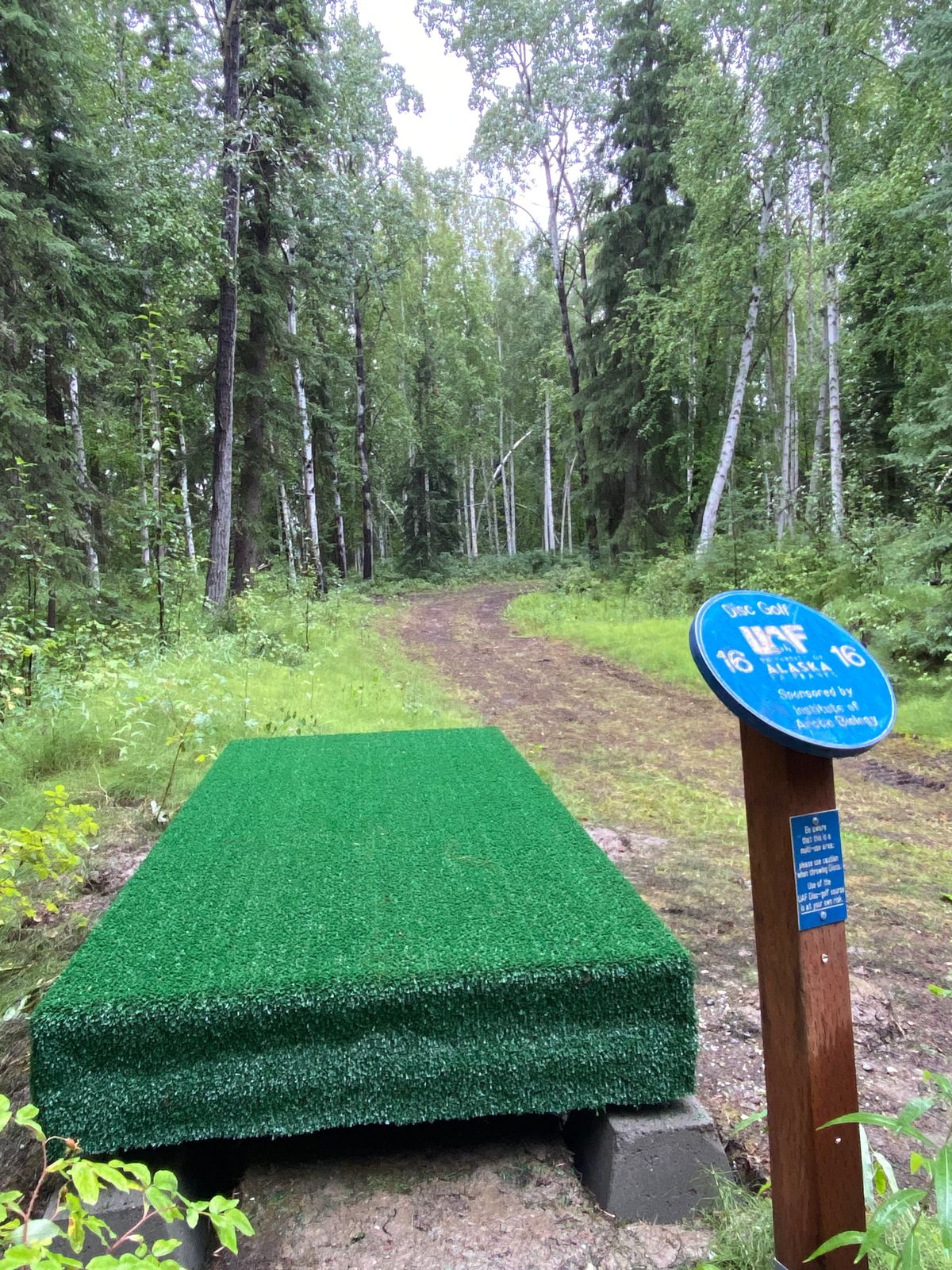 Hole 16 tee pad, basket at end of dog leg right