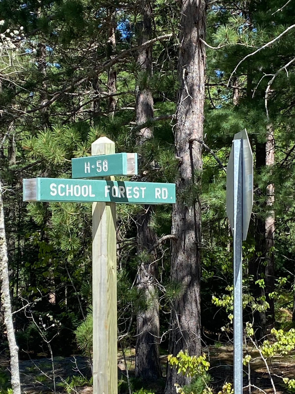 Make the turn at this sign off of M-58! Down the gravel road then left at the disc golf sign!!