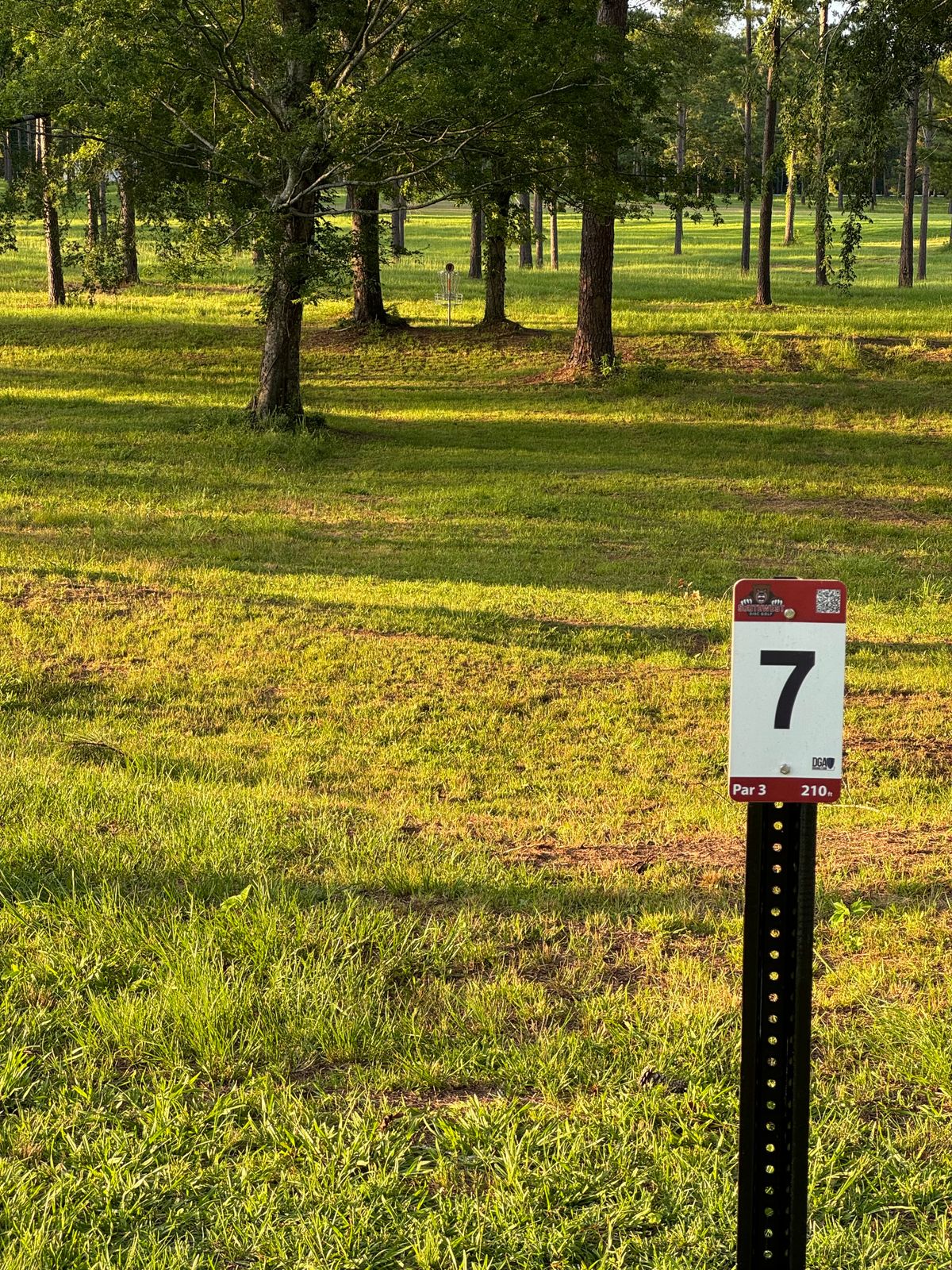 Hole 7 – Par 3