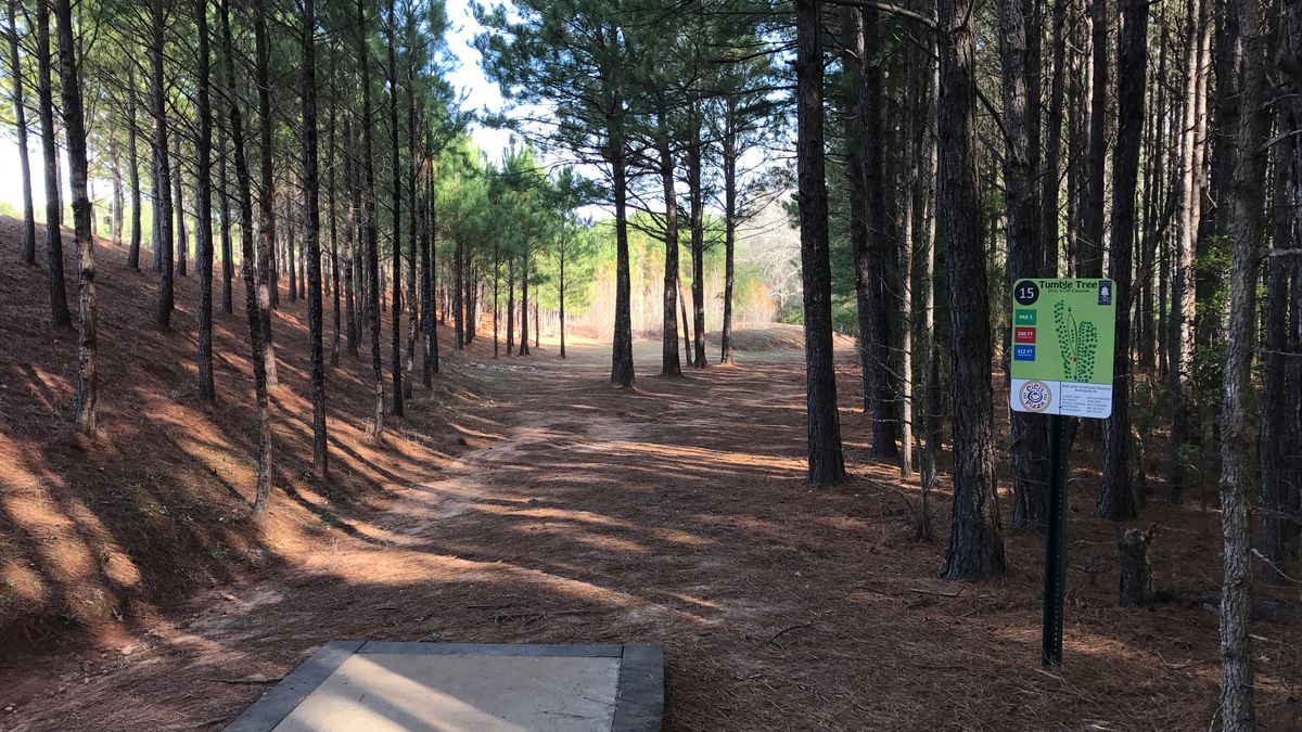 Hole 15