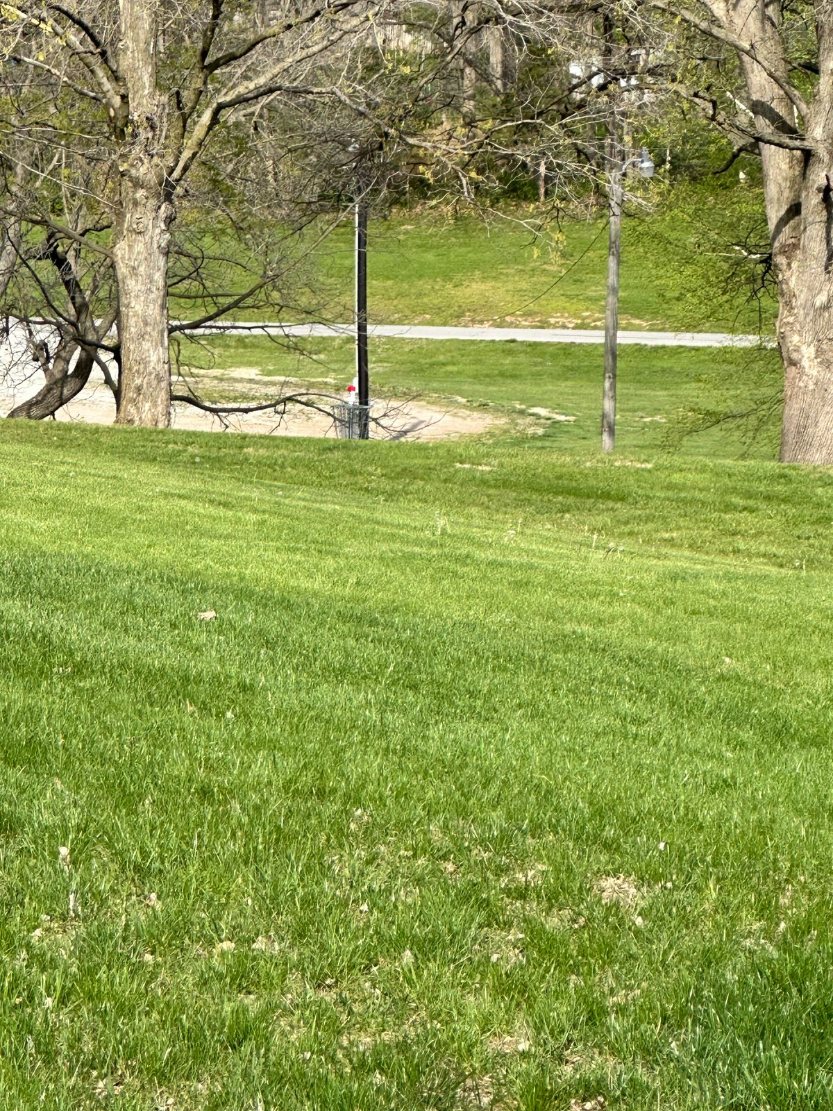 Hole 6 basket
