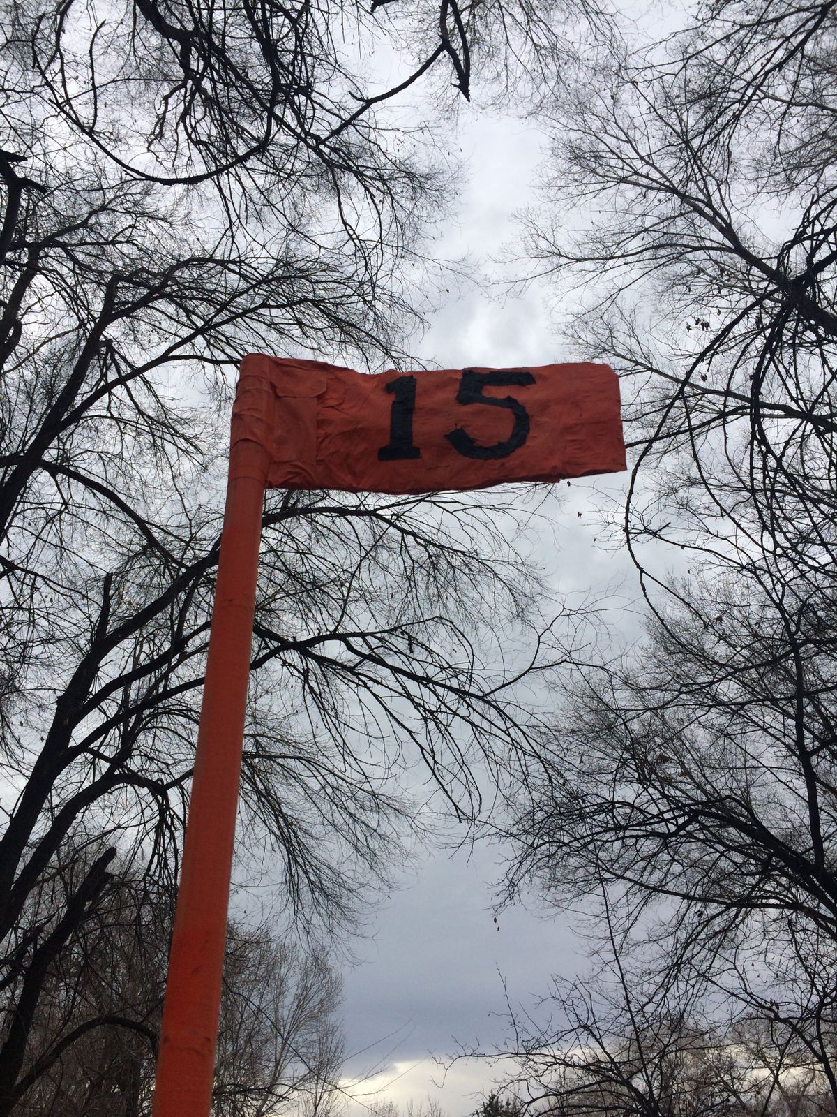 Art Dye Disc Golf Park Course Photos