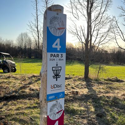 Hole 4, one tee, two baskets.