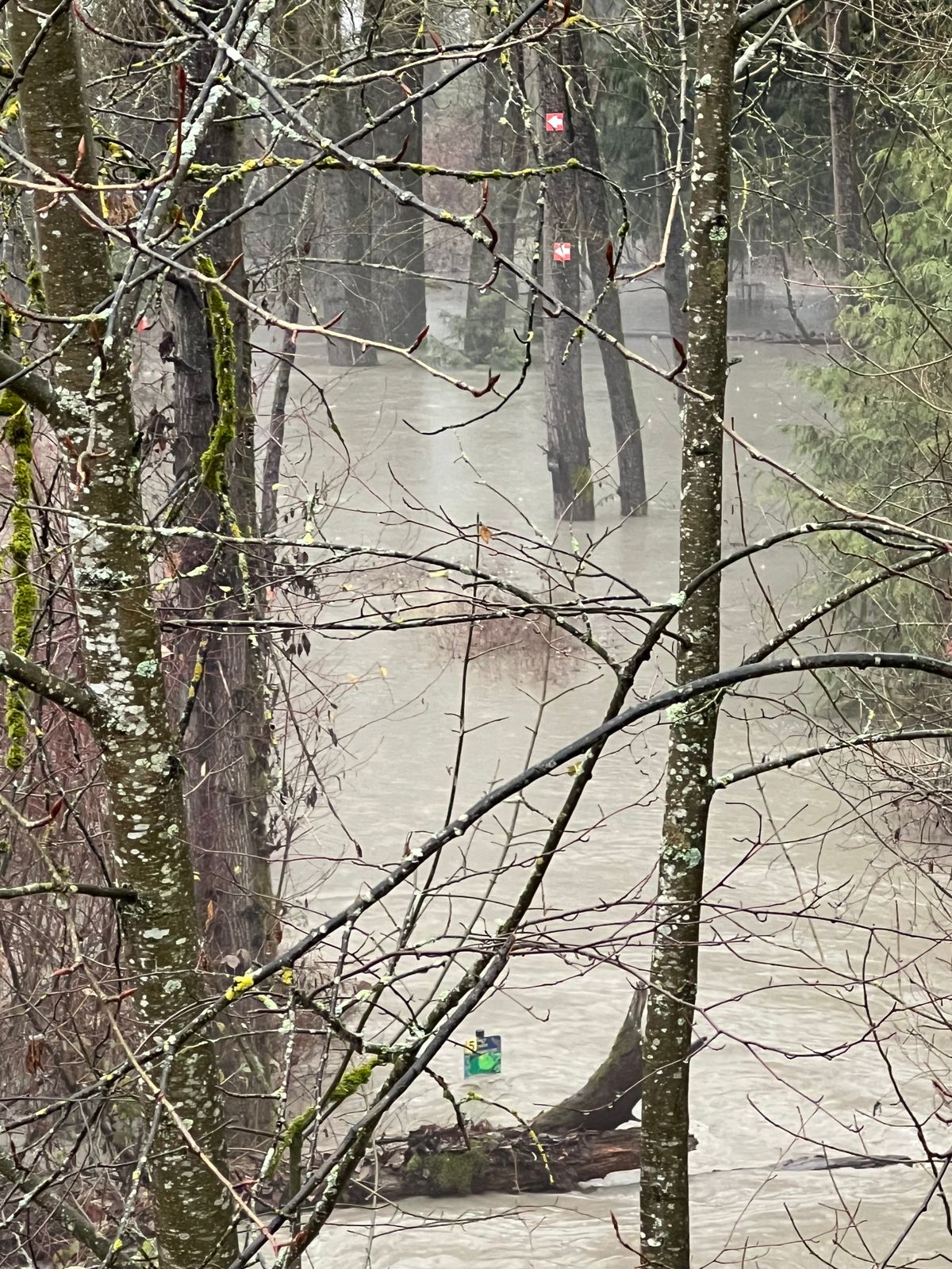 Hole 5