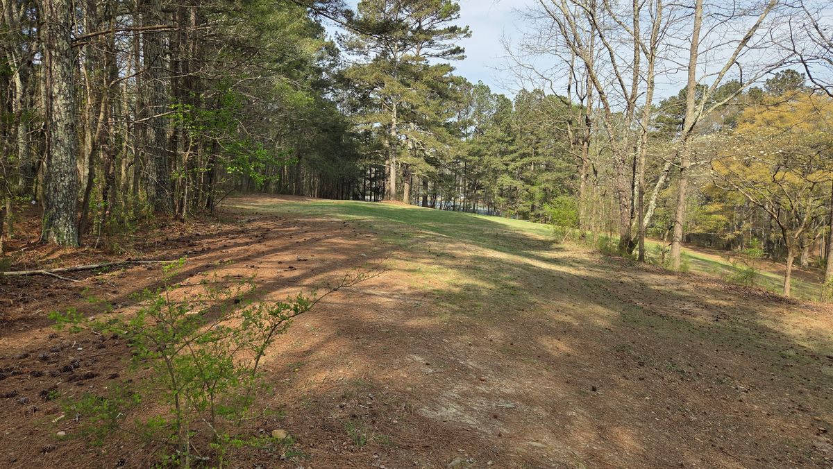 Fairway to Gold 3 Basket