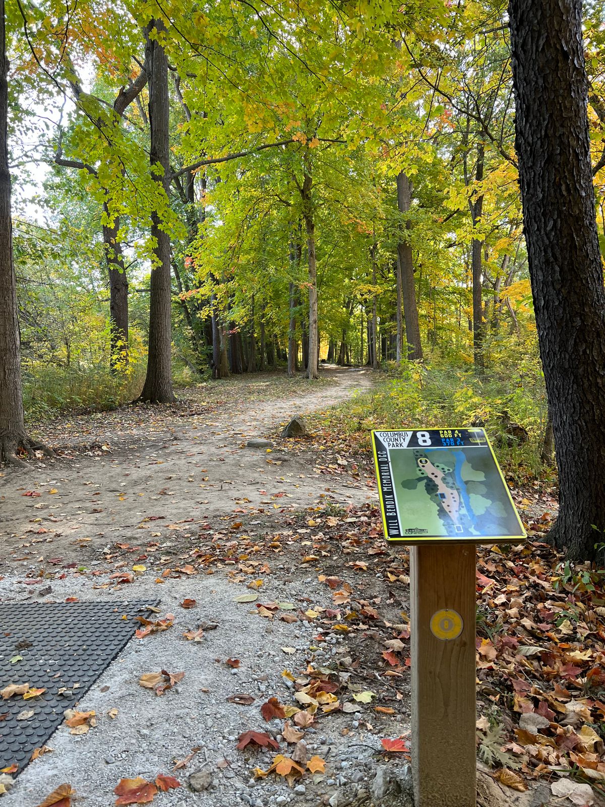 Hole 8 tee pad (long)