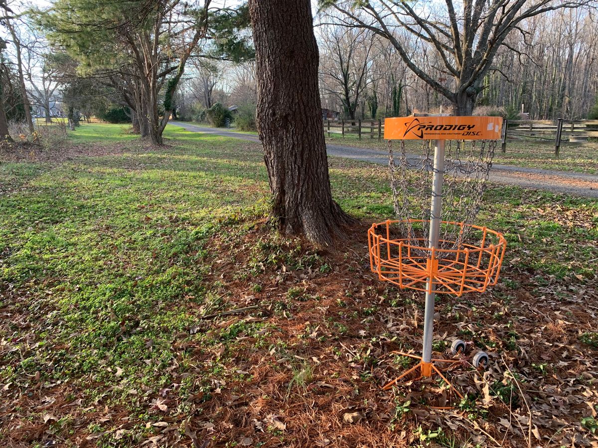 Hole 2/11 Basket.
