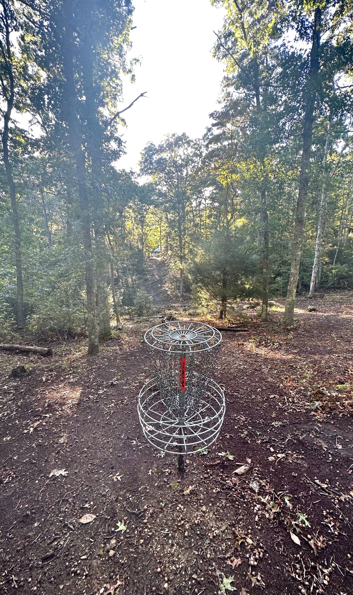 Hole 10 short pin: Mt Oakcrest