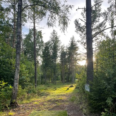 Hål 15