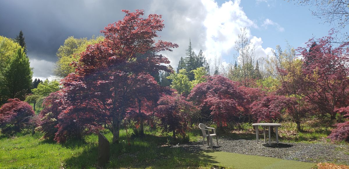 Beautiful trees surround this unique course.
