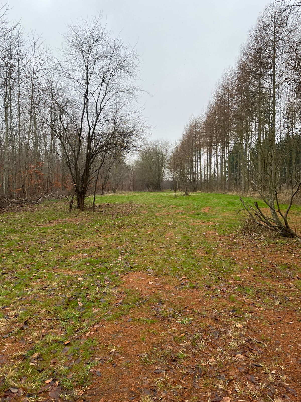 Hul 15 fairway