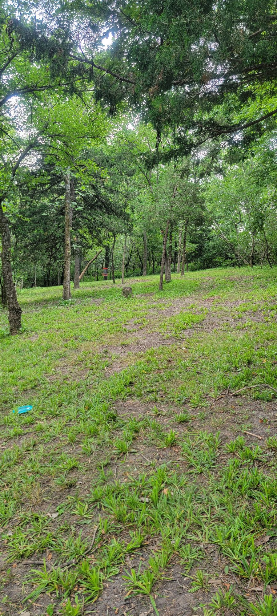 Half way down hole 4's fairway.
