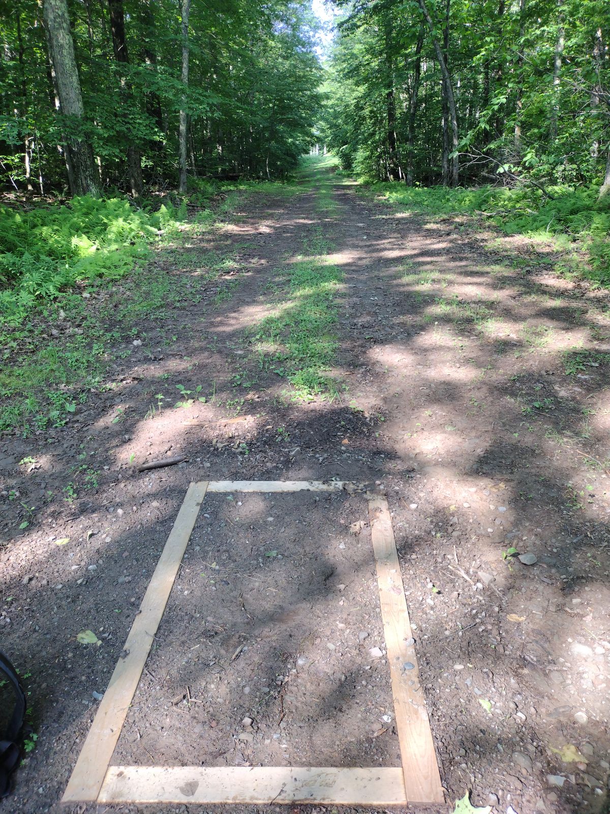 Tee pad at hole 2