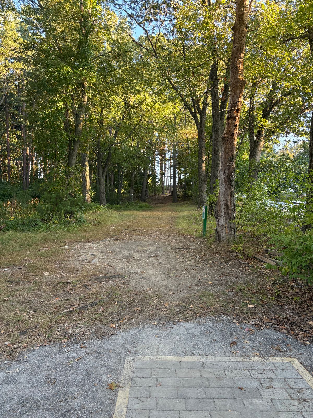 Tee #7. Par 4. Through the gap up and around to the left
