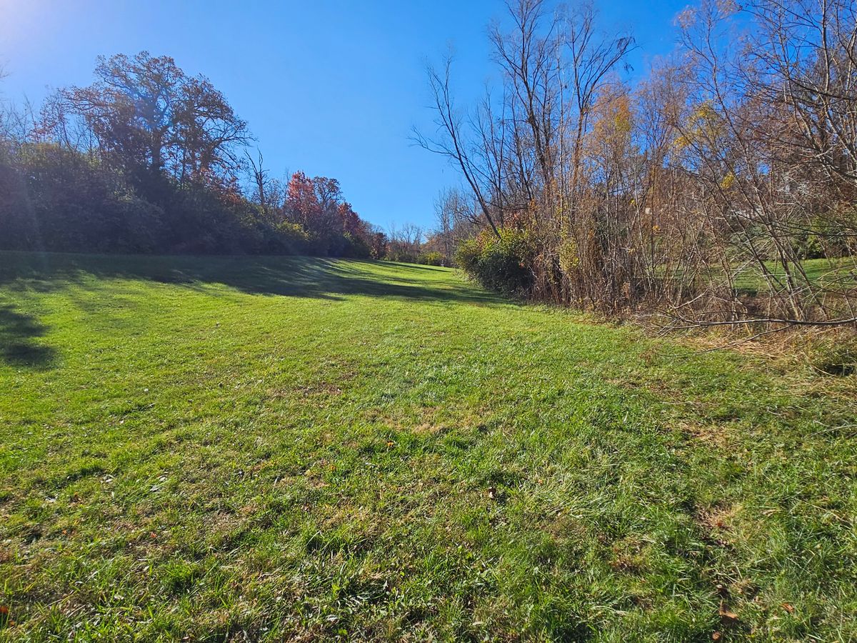 Hole 4 tee.