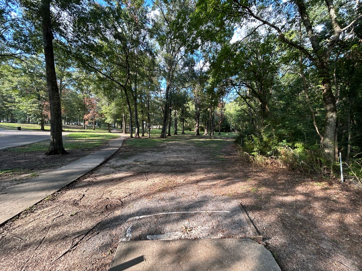 Hole 1 Fairway