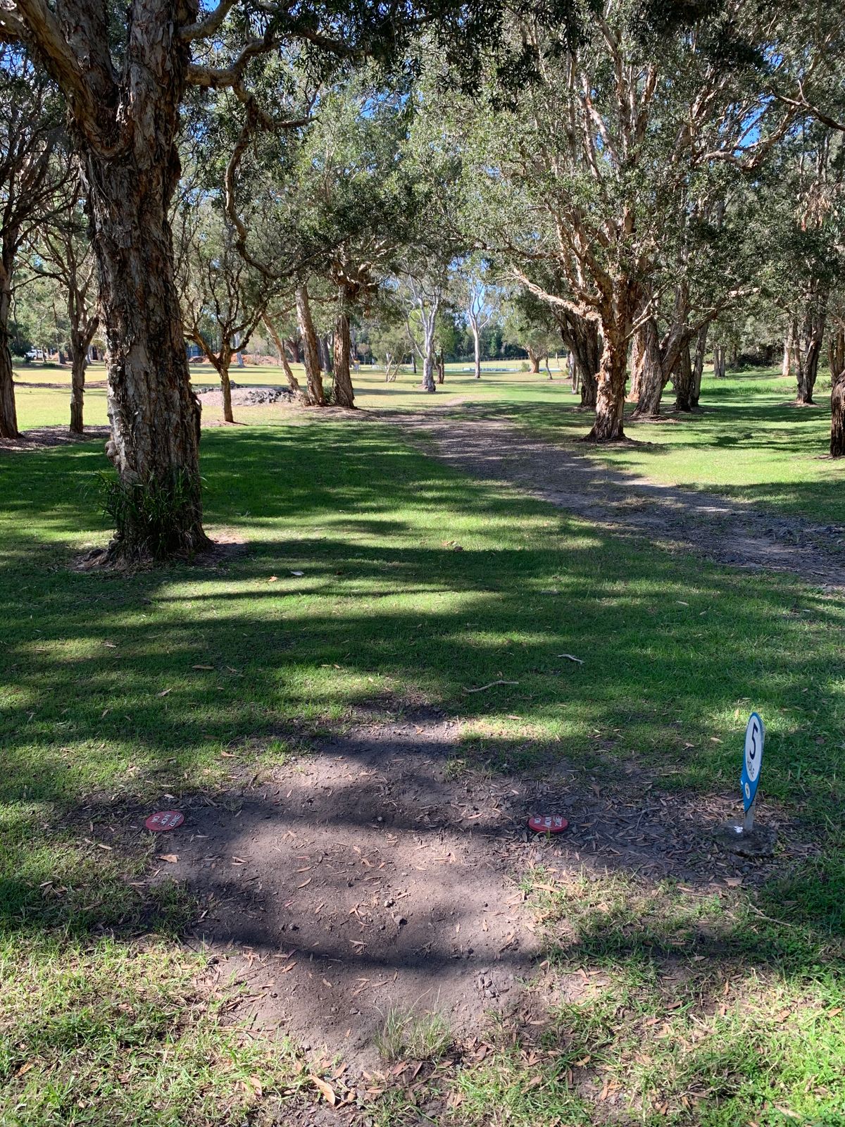 Hole 5