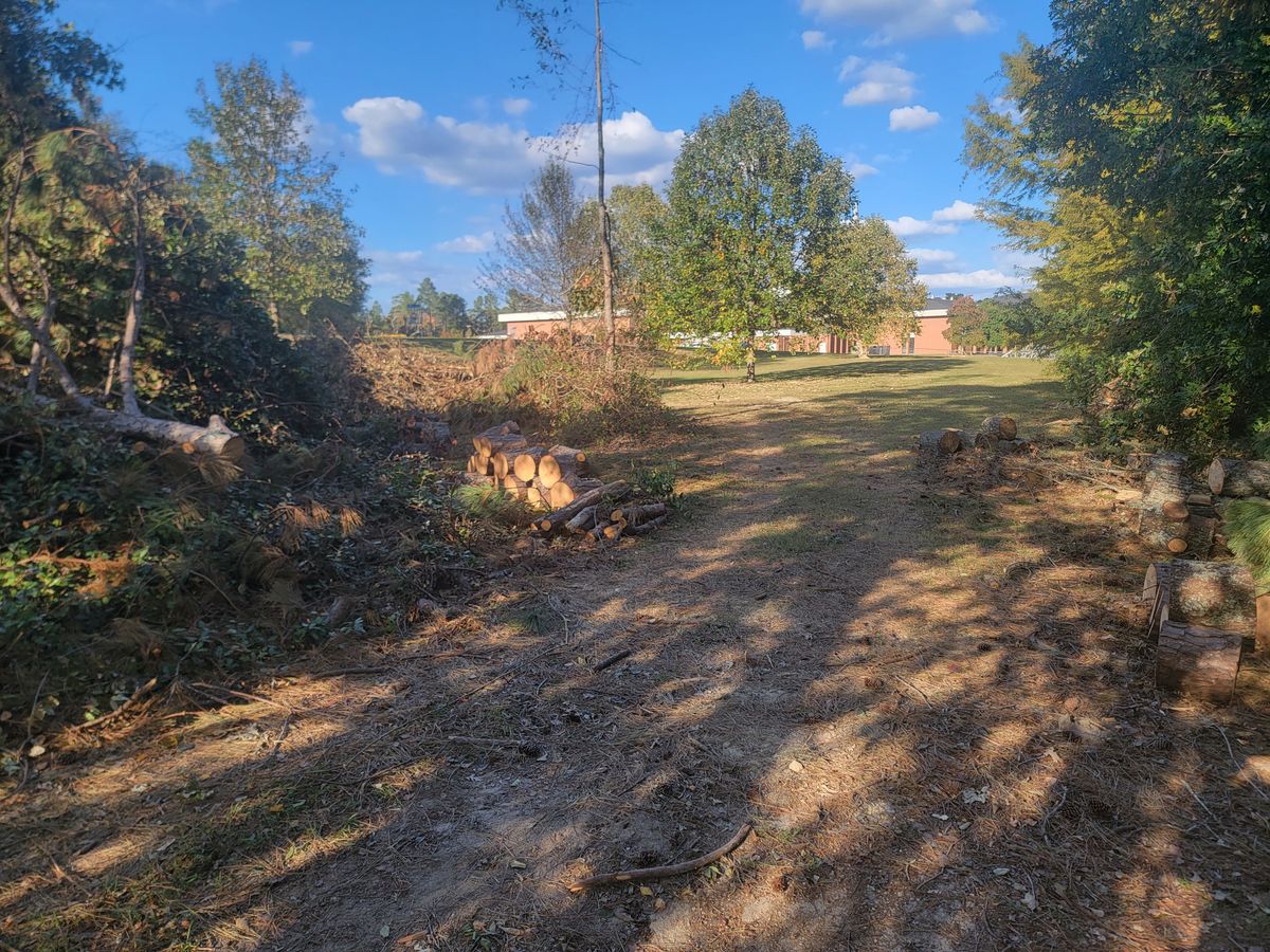Post hurricane clean up. Hole 6