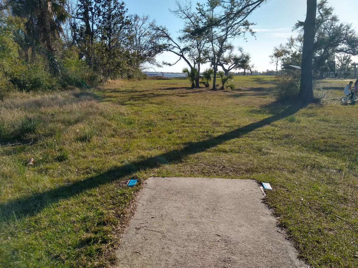 #15, par 3, 308ft (must go lt of mando tree, drop zone is just lt of trees next to mando tree)