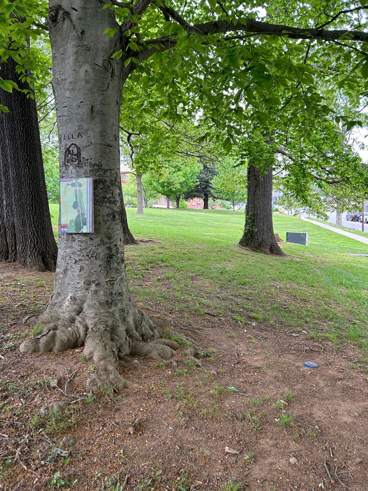 Hole 4 (Blue)