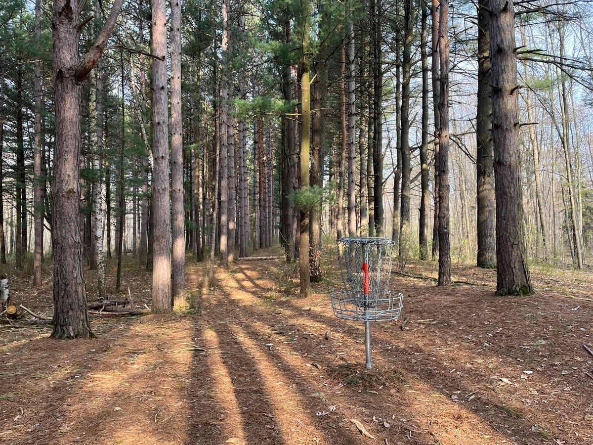 Hole 12 Green