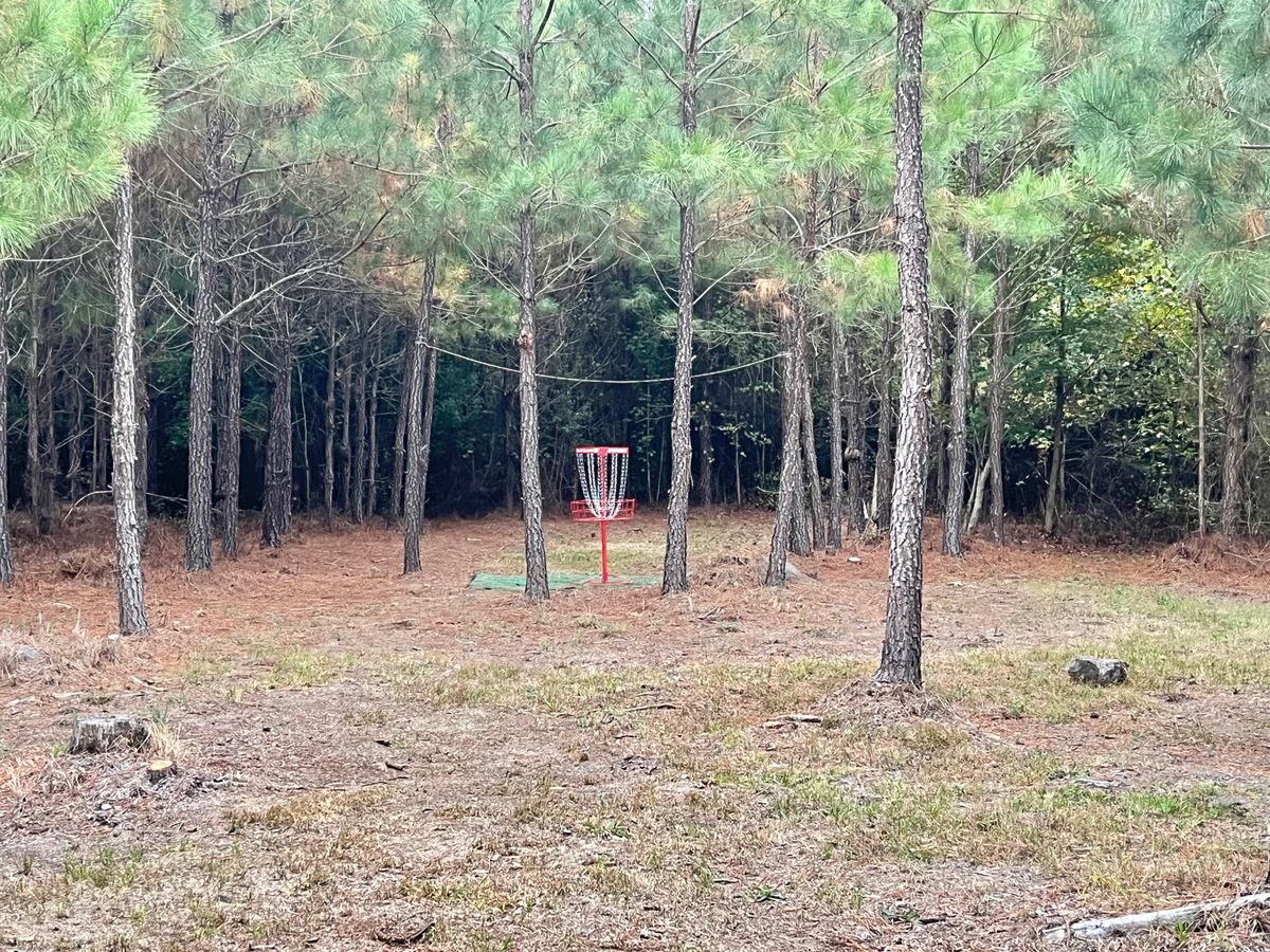 Hole 13 Long Basket